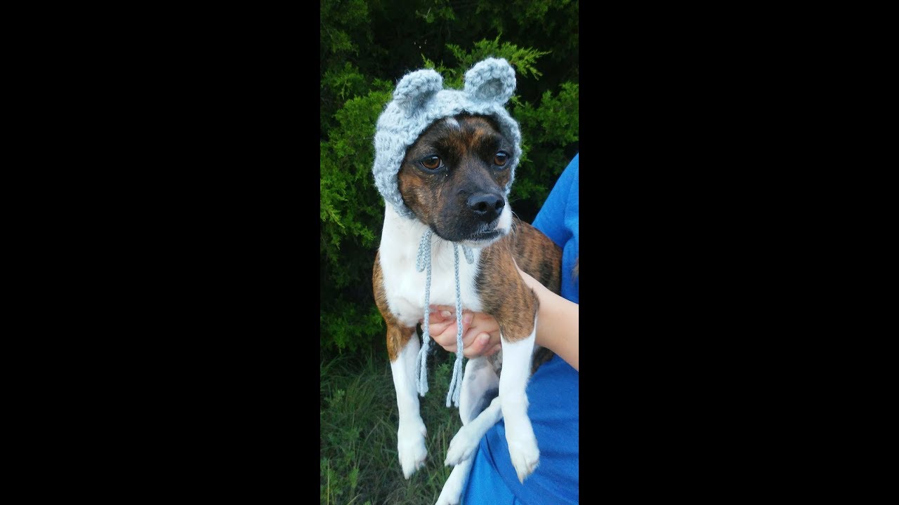 Crochet Dog Bear Cowl Snood Tutorial, Dog Bear Costume Crochet Pattern