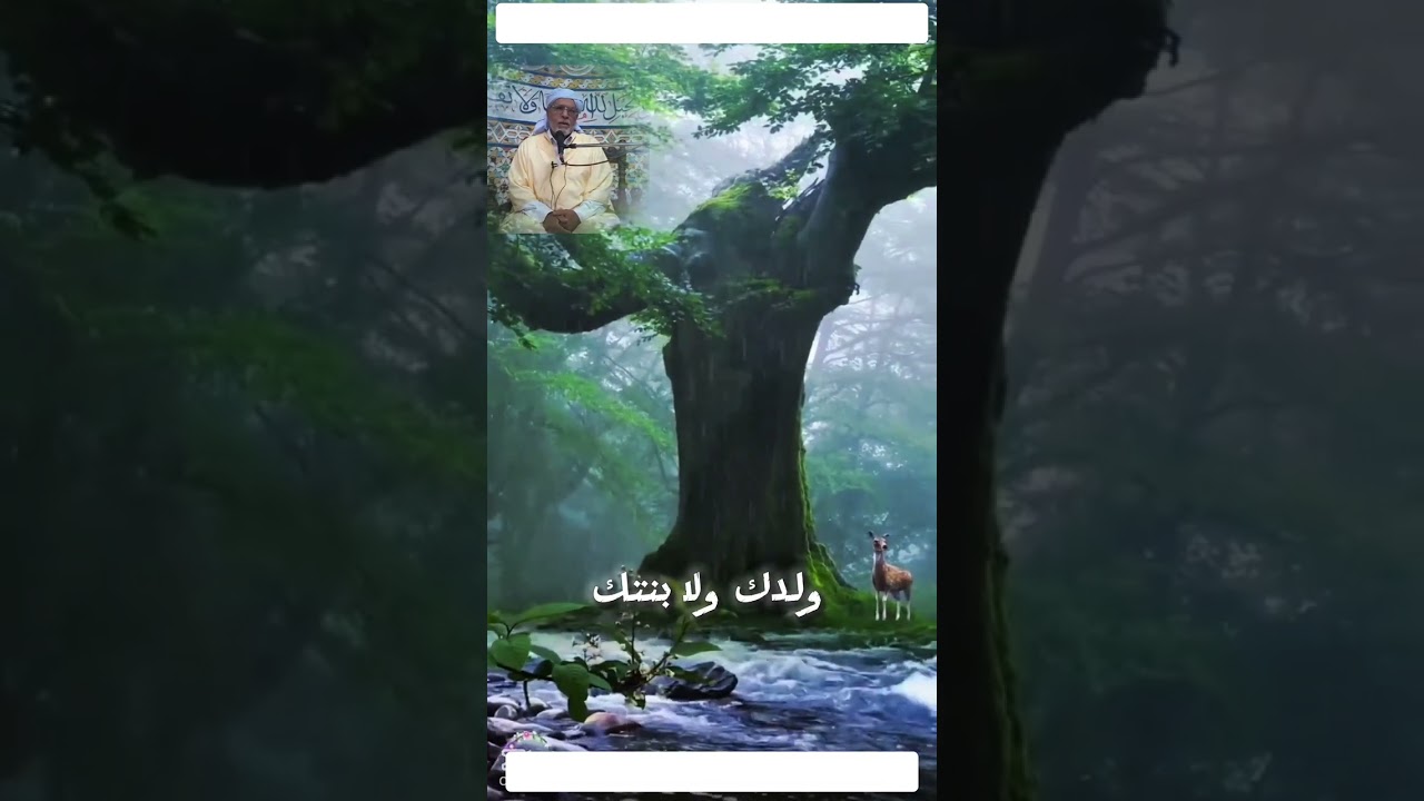 نصائح مهمة لحماية أنفسنا وأبناءنا من آثار الإدمان على الأجهزة الرقمية | د. الحبيب مشري