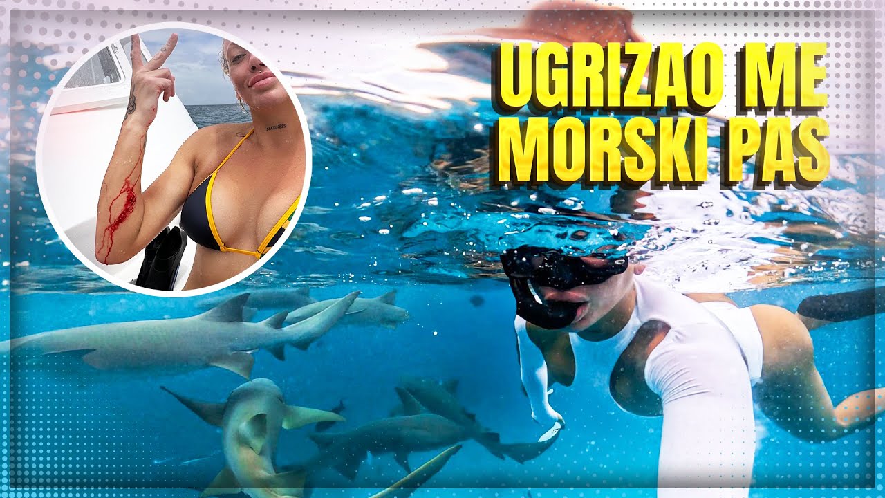 UGRIZAO ME MORSKI PAS NA MALDIVIMA!! VLOG PT.2