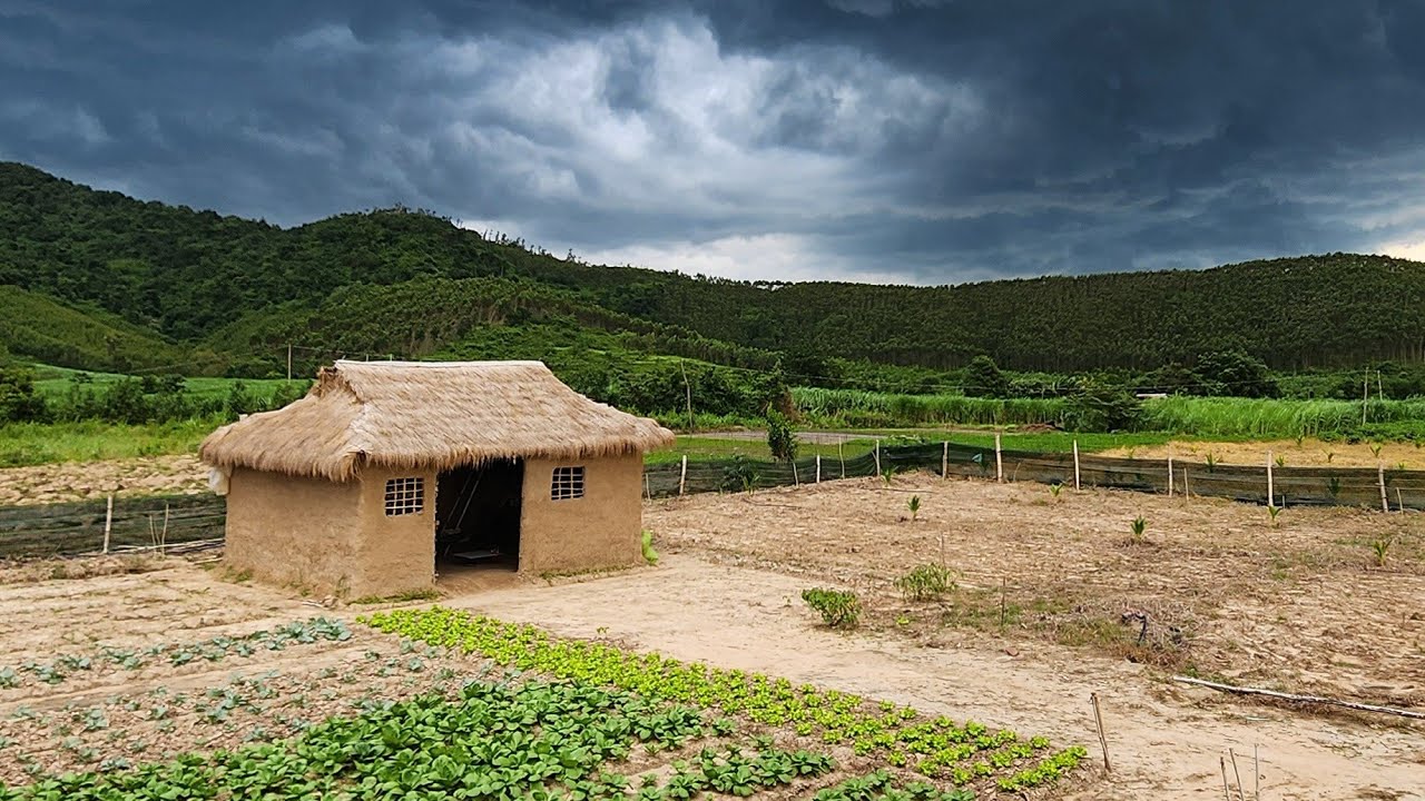 Life alone on a farm taking care of vegetables at night