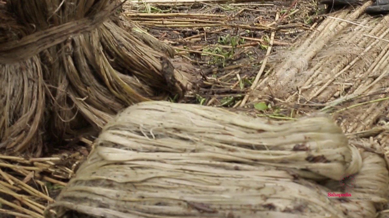 Processing cycle of Jute