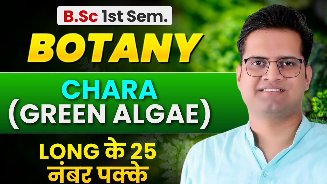 Chara!चारा!B.Sc 1st Semester Botany Important!Be DKDian