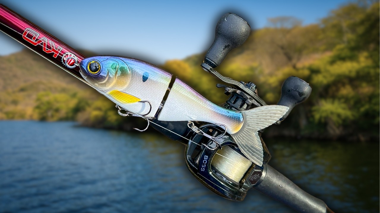 GLIDE BAIT ¿Cómo y cuándo utilizarlo? // Señuelos de pesca de lobina