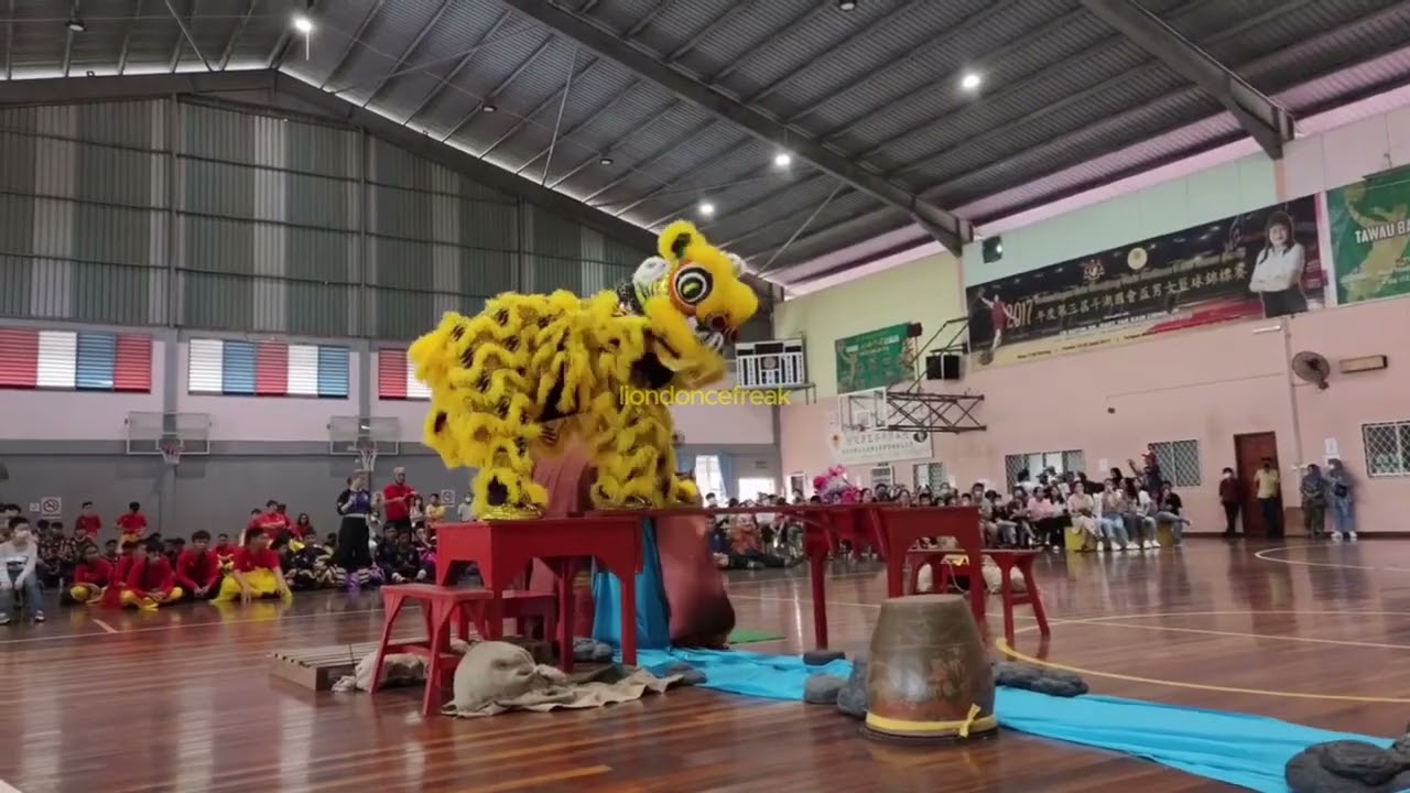 CNY 2023 - 沙巴斗湖普照寺醒狮团 Persatuan Buddhist Tawau Traditional Lion Dance