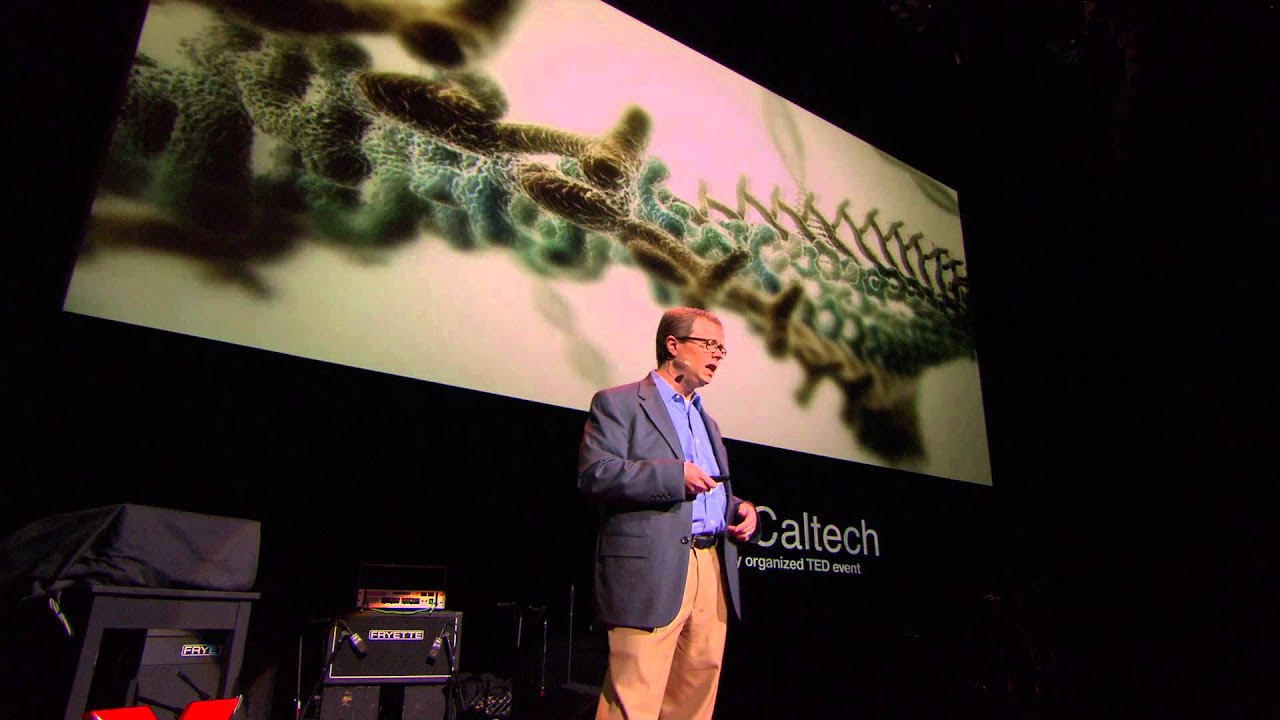 A Map of the Brain: Allan Jones at TEDxCaltech