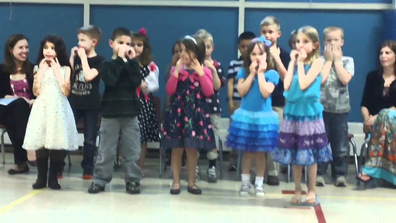 The old Gray Cat... performed