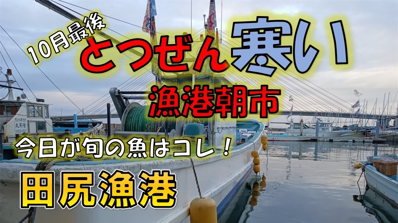 10月26日（日曜日）田尻漁港　旬の魚はやっぱりうまい！そしてなぜか安い！(ﾟДﾟ;)急に寒くなってきた漁港では秋の豊漁！