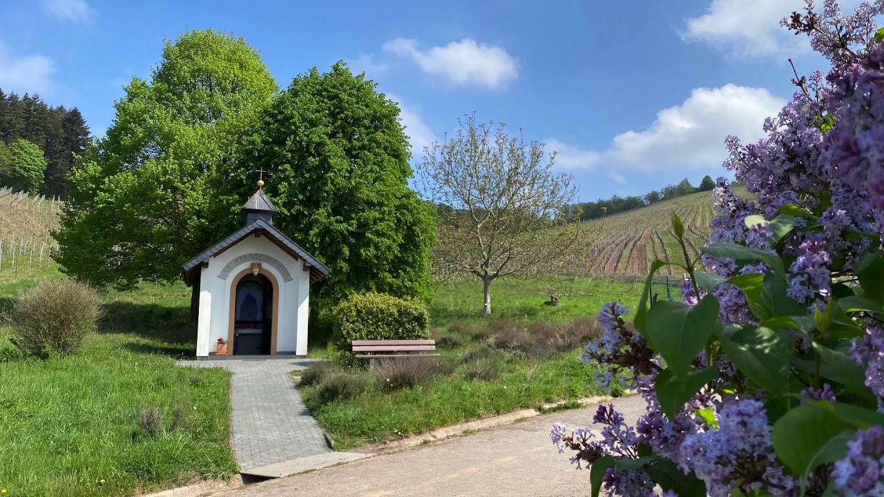 Mattheiser Wald - Niedermennig - Mariahof
