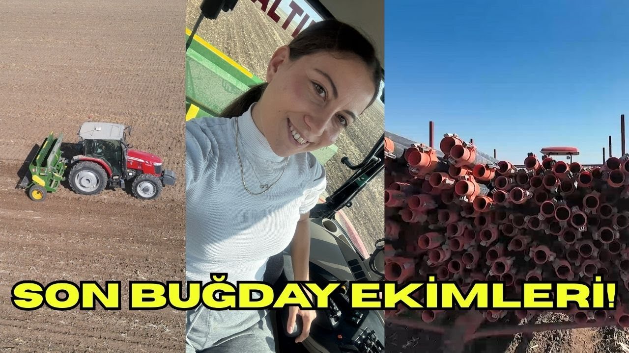 BUĞDAYLARIMIZI EKİYORUZ SULAMA İÇİN BORULARI HAZIRLADIK!