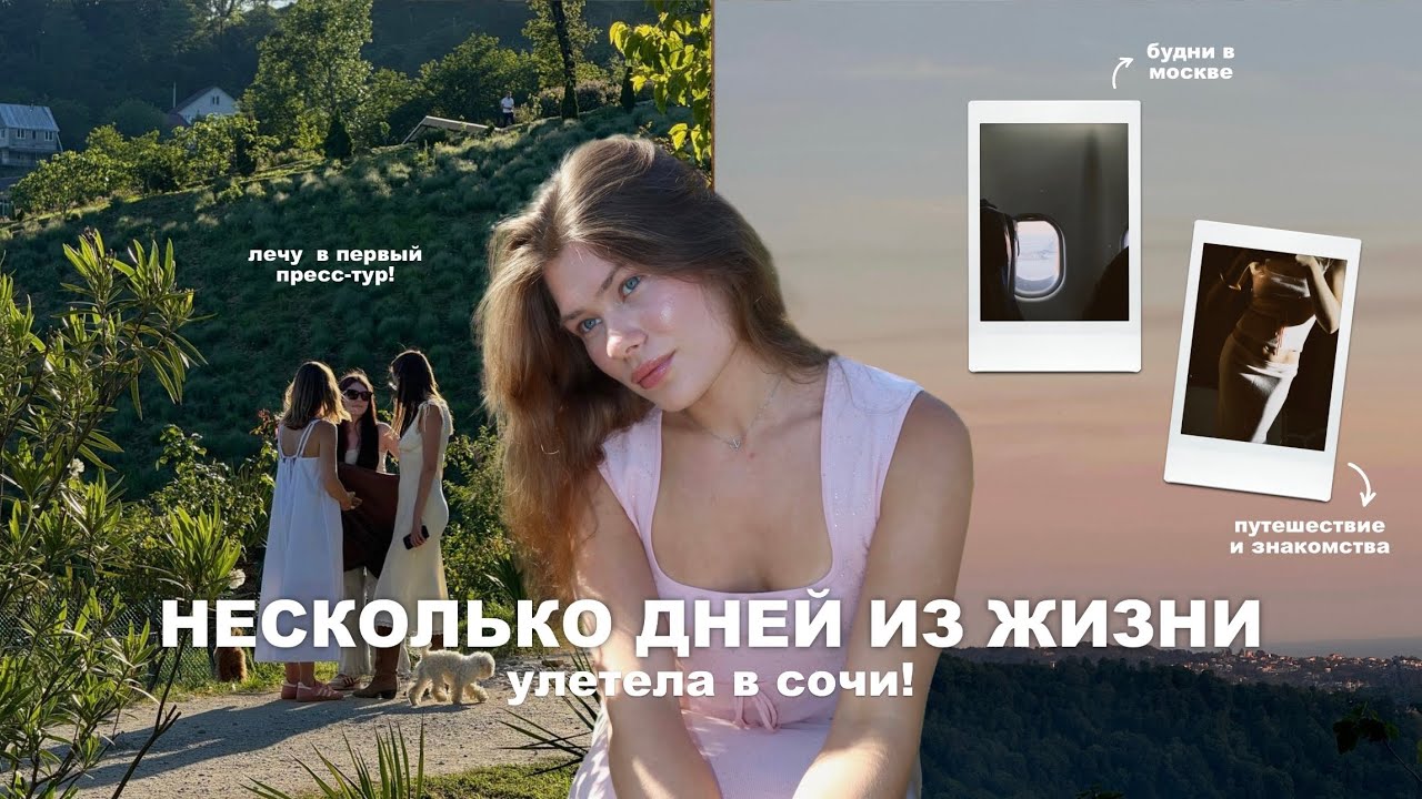 несколько дней из жизни | лечу в сочи в пресс-тур