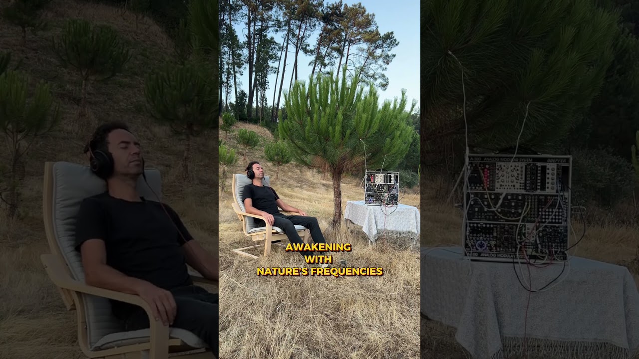 Plant Vibrations That Heal Your Mind 🌿 | Real 432Hz Bioelectric Music & Theta Meditation