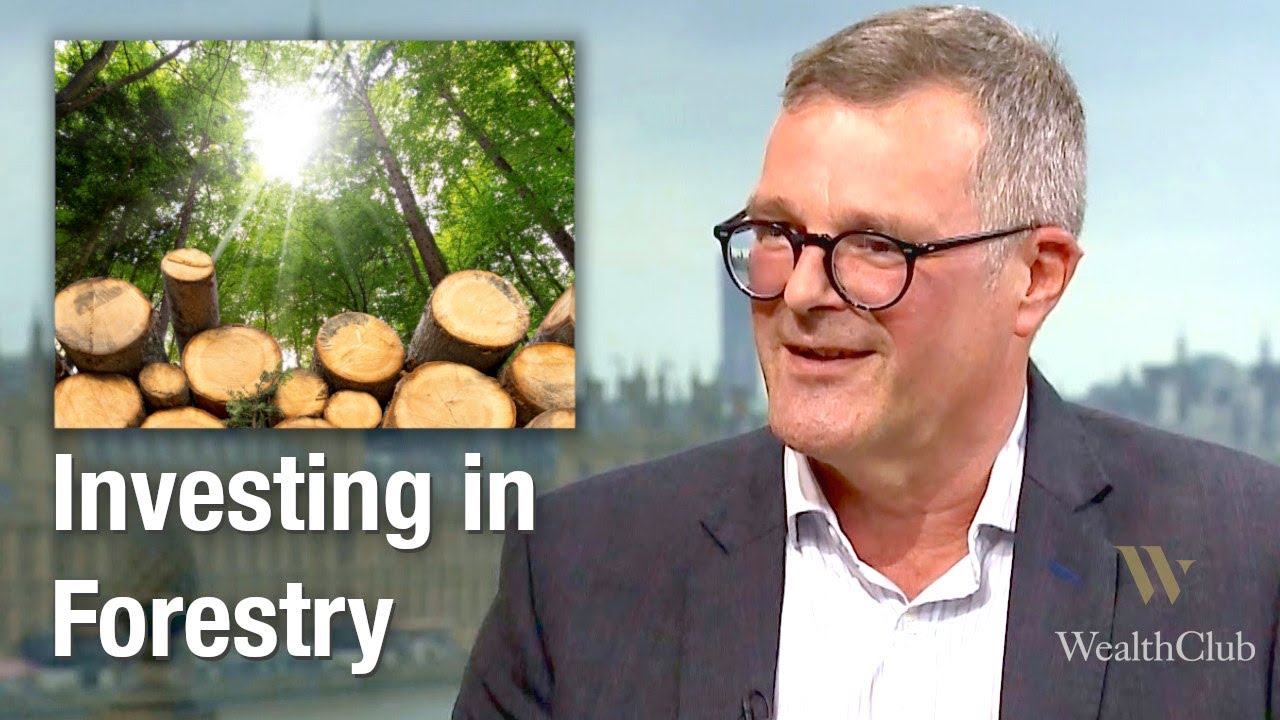 Investing in Forestry [2021] – why invest? What are the benefits, risks, and ways to go about it?