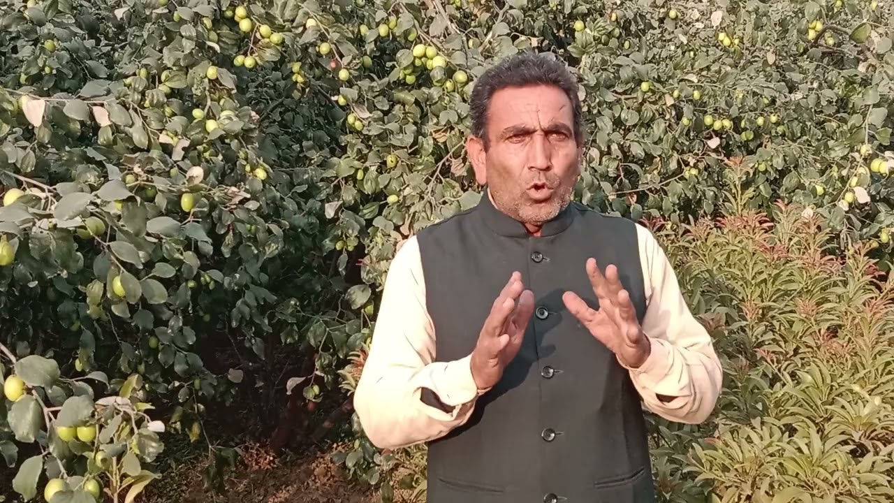 apple ber ki kheti शुरू करने से पहले एक बार ये वीडियो जरूर देखें