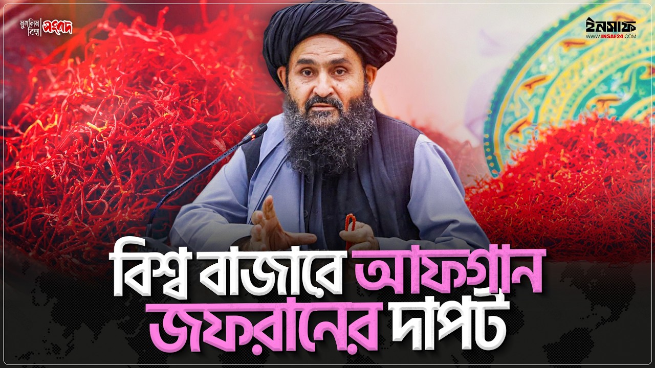 ২০২৫ সালে ৫৪ মিলিয়ন ডলার মূল্যের ৫৬ টন জাফরান রপ্তানি করেছে আফগানিস্তান | @insaf24bd | ইনসাফ