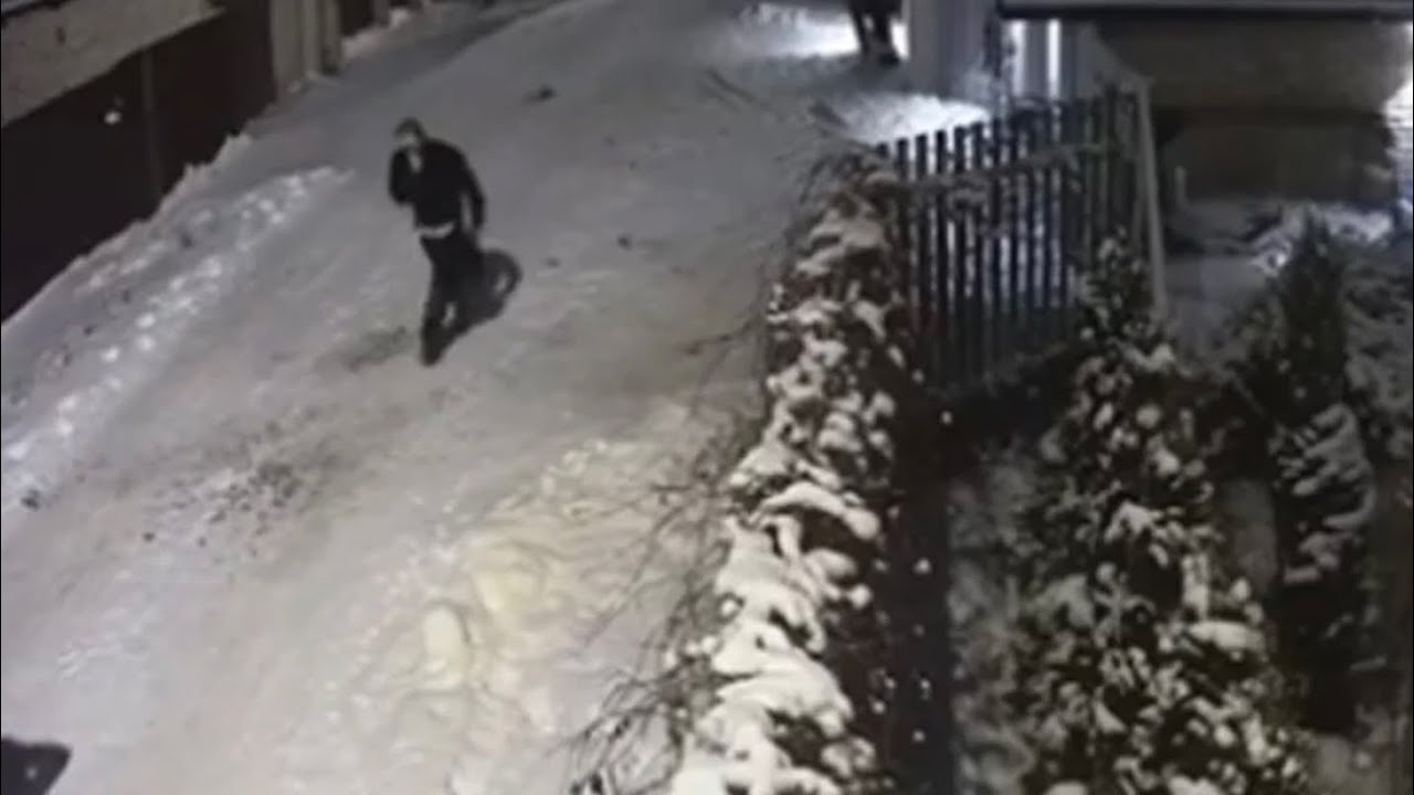 Инженер загадочно пропал в Подмосковье после ссоры с начальницей в Новый год