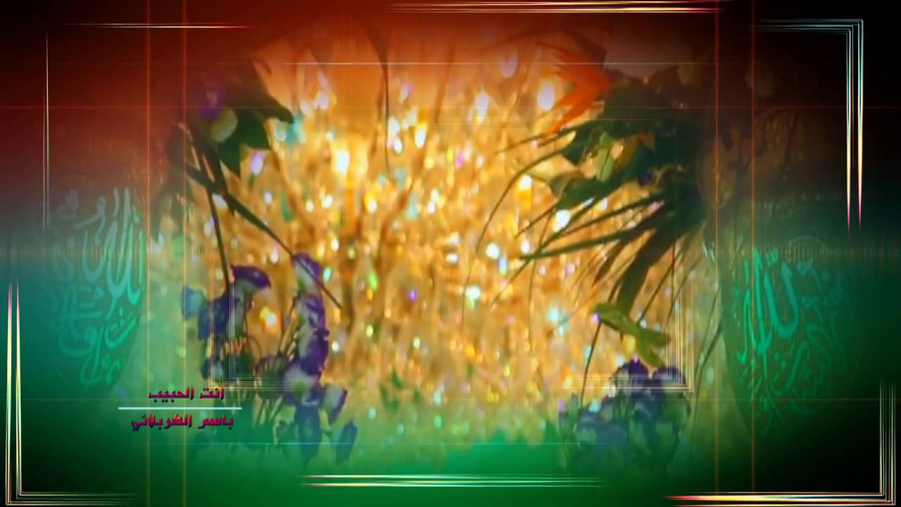انت الحبيب   باسم الكربلائي