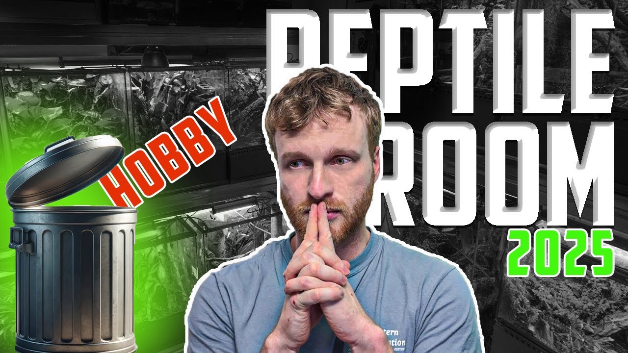 ¿Reptile Room 2025? | ¿Dejo el Hobby? REFLEXIONES