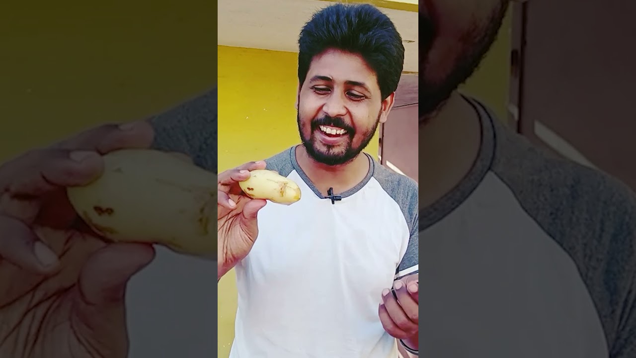 Funny Potato Experiment 😂😂 5 Mins Craft Funny Experiment