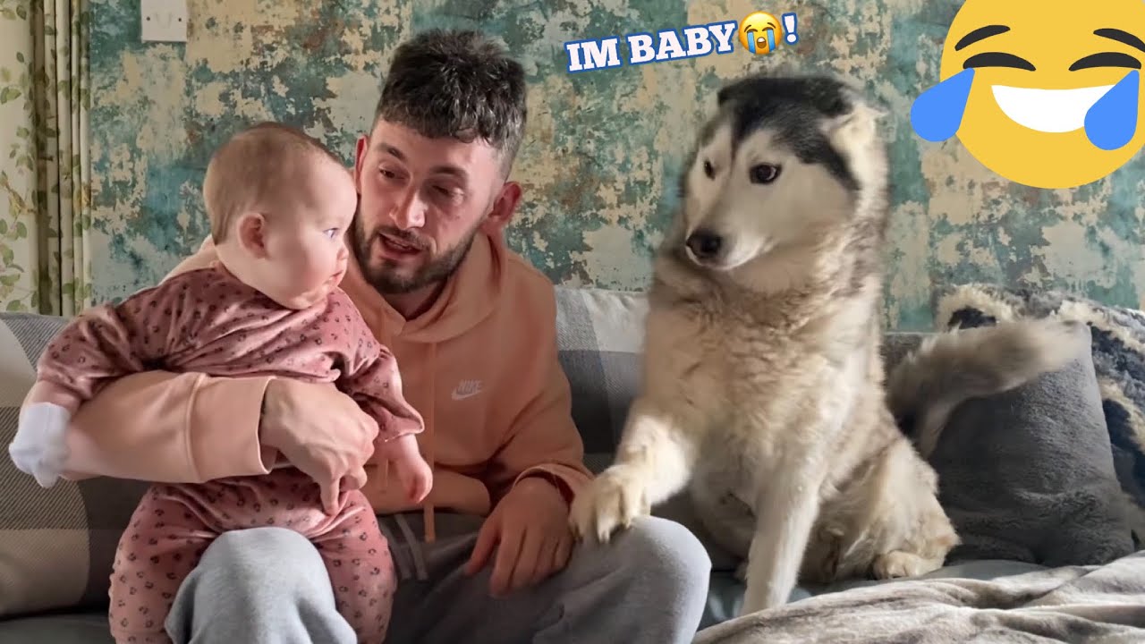 My Husky Is More Of A Baby Than My Baby!! [CUTEST VIDEO EVER!!]