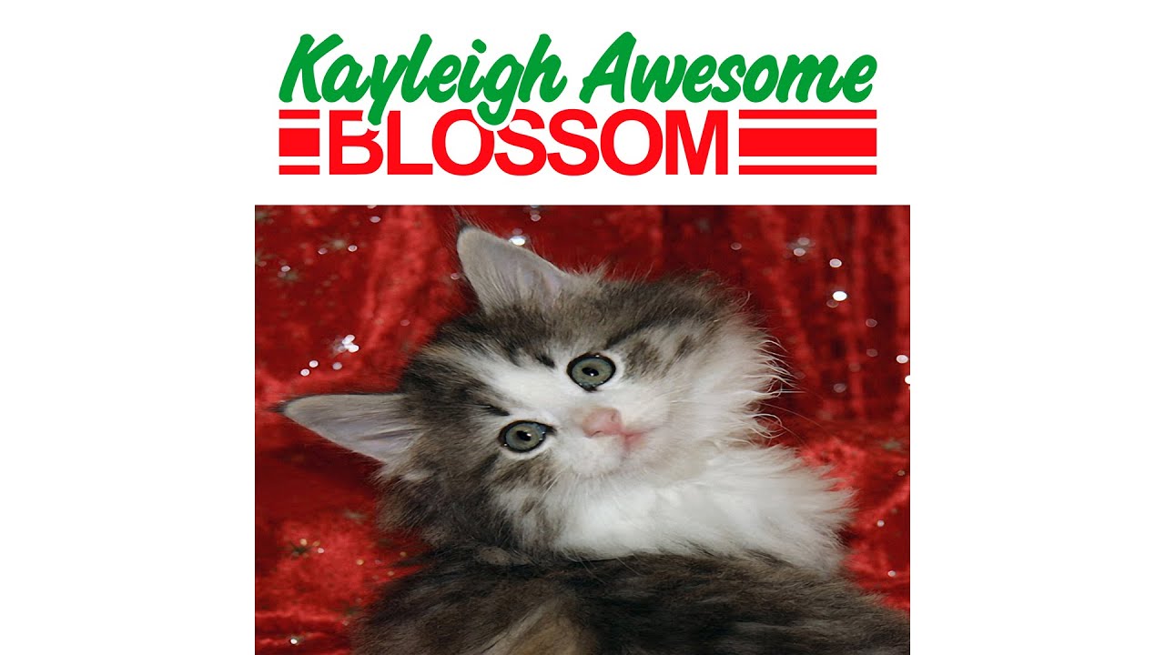 Monte Hills - Kayleigh A. Blossom Album (Full Album)