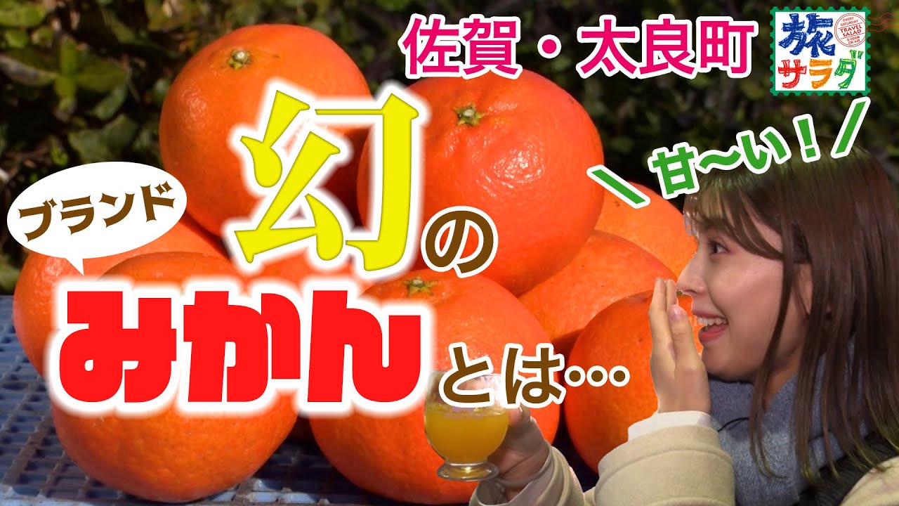 【地元にしか出回らない！？】幻のみかん“クレメンティン”の虜に...🍊❤️