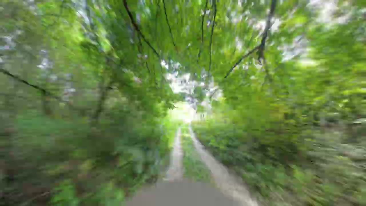 #Гомель | Осовцы - берег Сожа #HyperLapse 4k