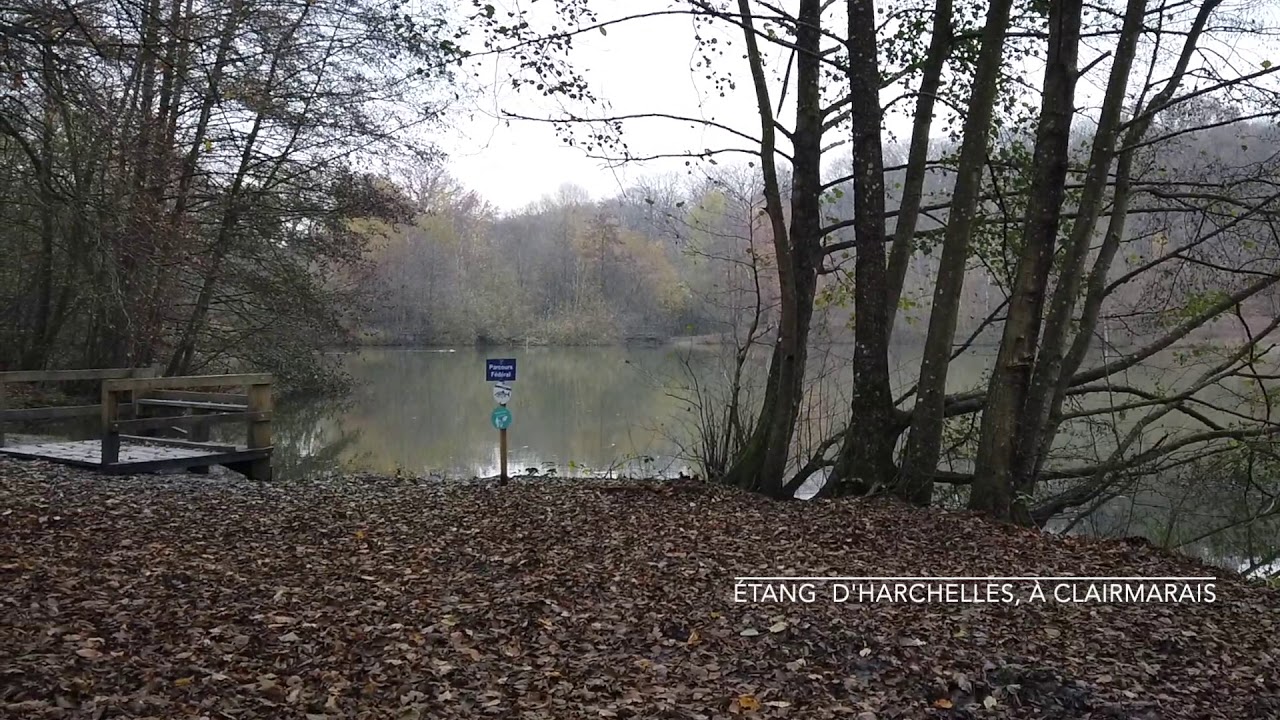 Etang d'Harchelles