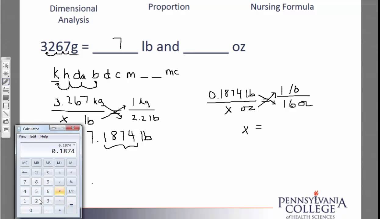 Simple Unit Conversions #9 grams to lb and oz