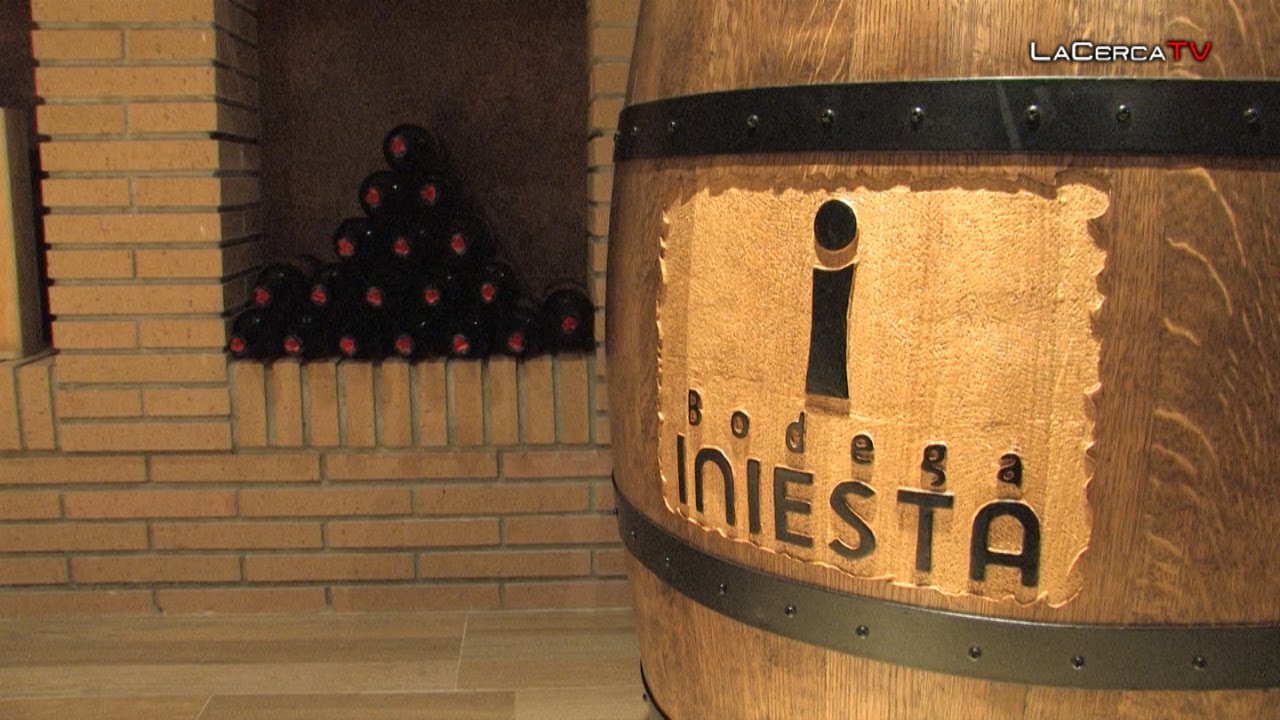 Bodega Iniesta: el proceso de la vid al vino - Reportaje