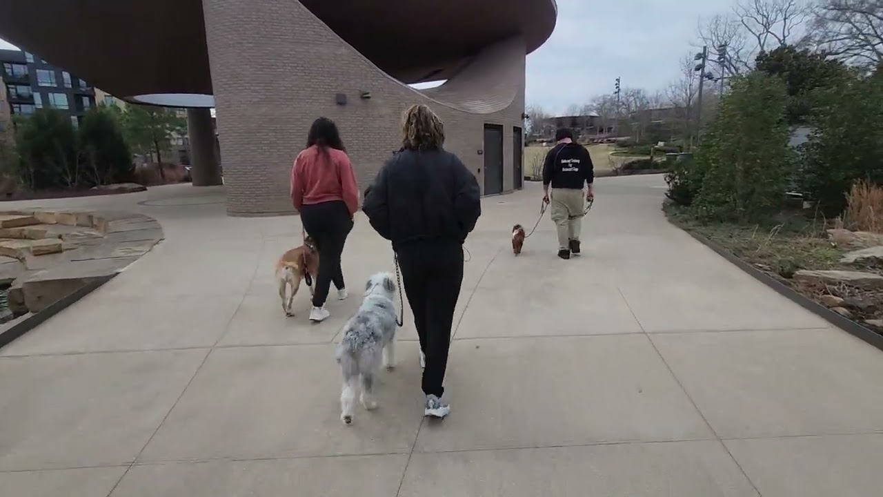 Maple, Talia, and Zoe moon 