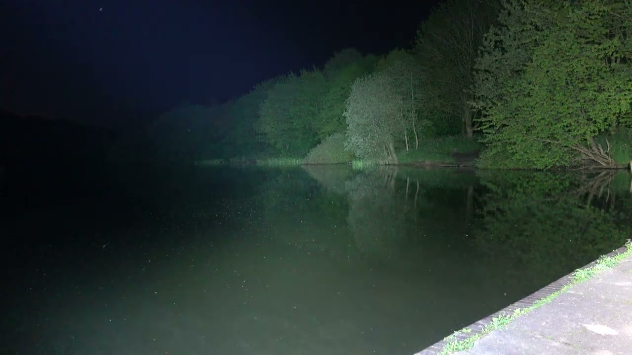 Sofirn Q8 plus Versus Q8 pro Beams shots
