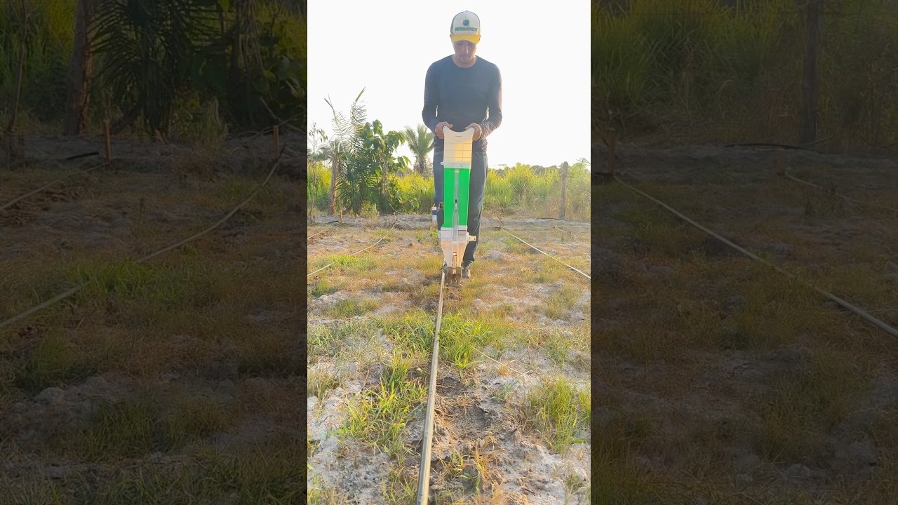 Fazendo o plantio de milho no segundo setor do gotejamento. #vidanaro&ccedil;a #irriga&ccedil;&atilde;o  #milho #plantio