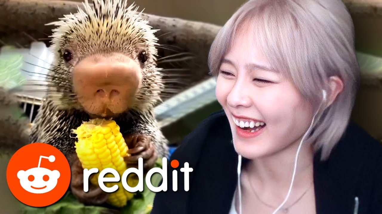 39daph Reacts to Reddit #44