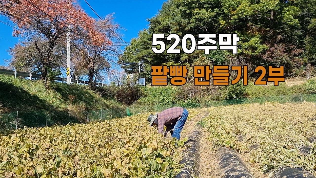 1년간의 팥빵 만들기 2부 / 미원산골마을빵
