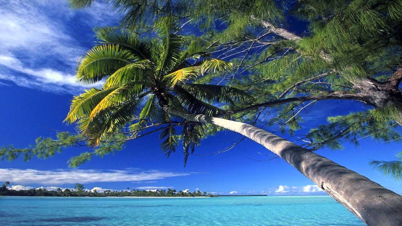 Audien - Palmetto (Original Mix) [HD]
