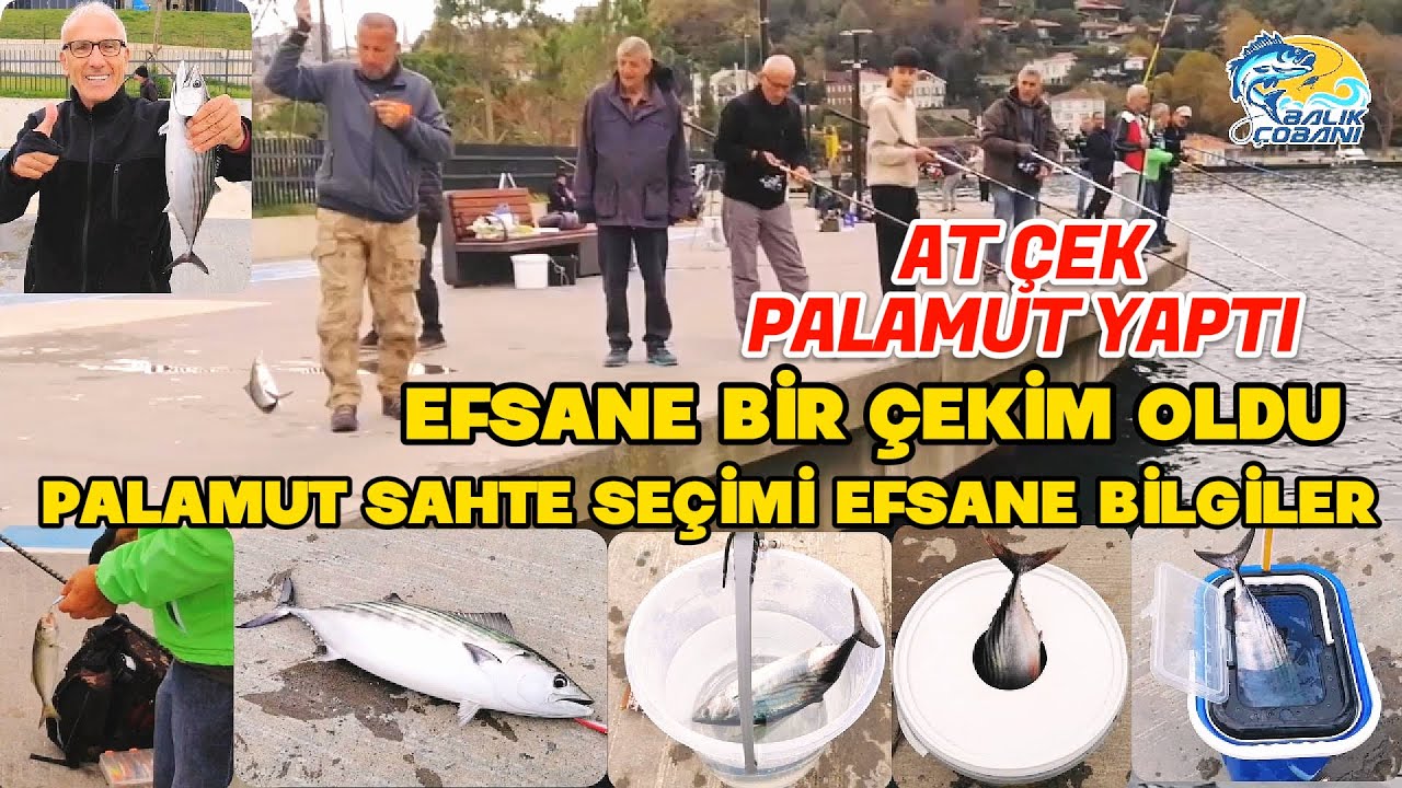 KURŞUN ARKASI PALAMUT AVI.EFSANE BİR ÇEKİM OLDU.HEYACAN DORUKTA FİLM GİBİ.EN İYİ SAHTE NASIL SEÇİLİR