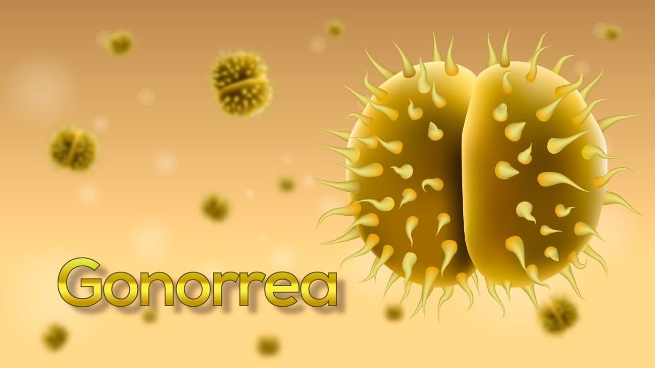 ¡La Gonorrea en 5 minutos! (Neisseria gonorrhoeae) (Animación)