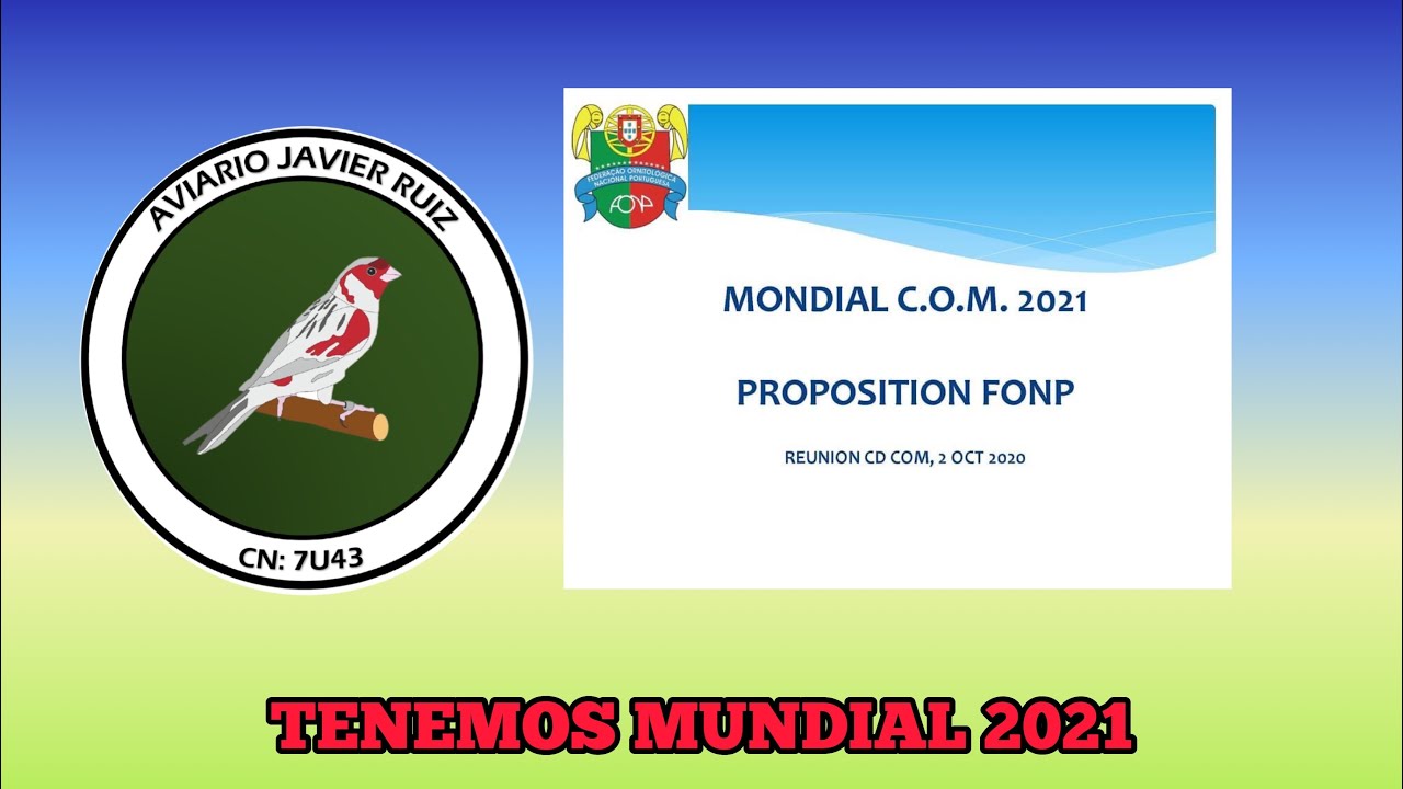 TENEMOS MUNDIAL 2021
