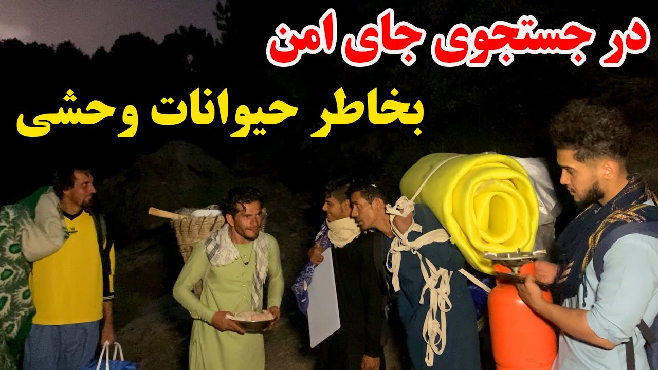 ادامه سفر جنگل وحشت - شب در جنگل پر از حیوانات وحشی سپری کردیم