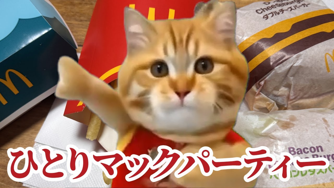旦那氏不在時にマックを楽しむワイの何気ない日常 #猫マニ #猫ミーム