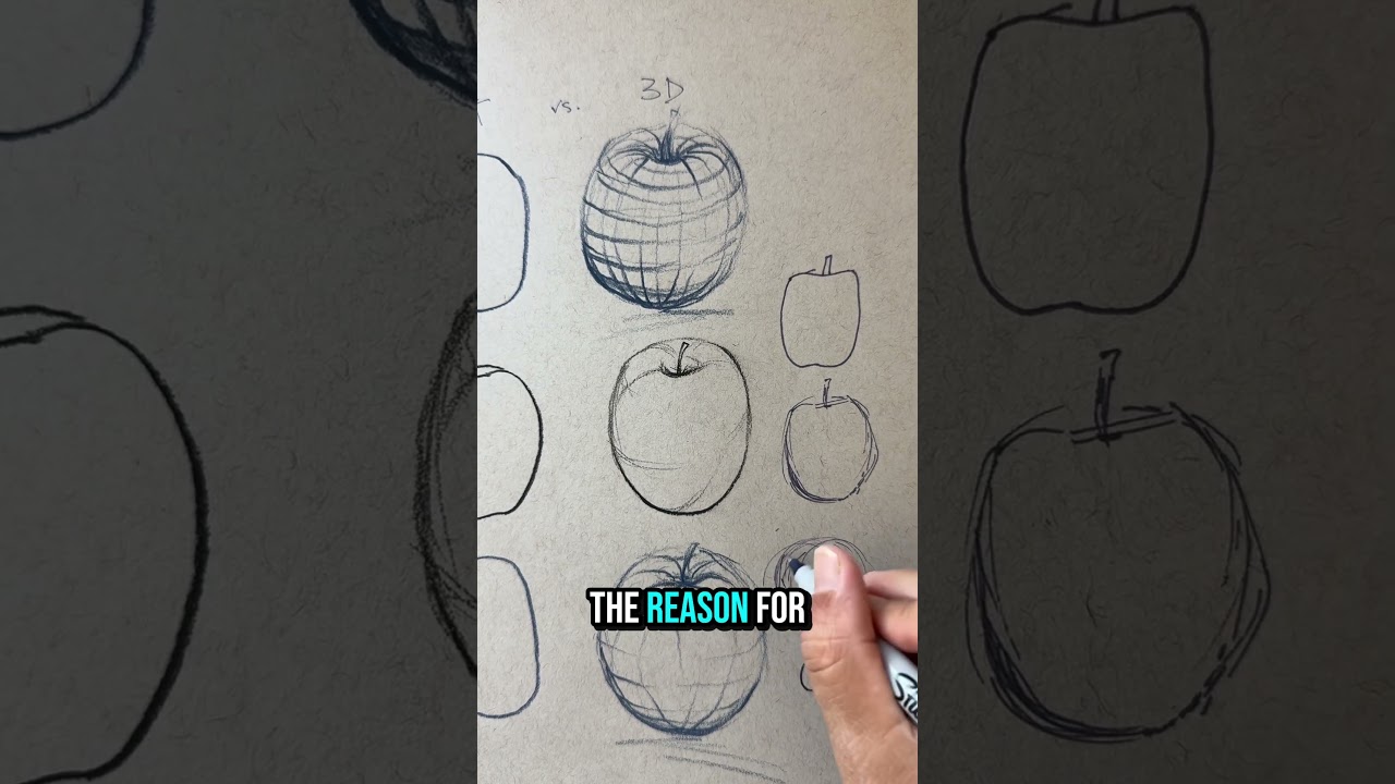 Drawing 101 - Contour line vs Outline #howtodraw #arttips #linedrawing #penandinkdrawing