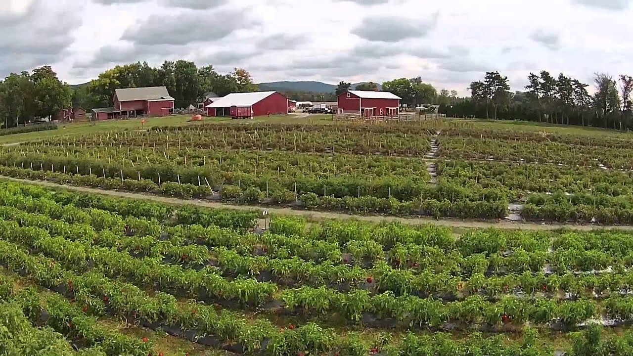NY FARM BUREAU 