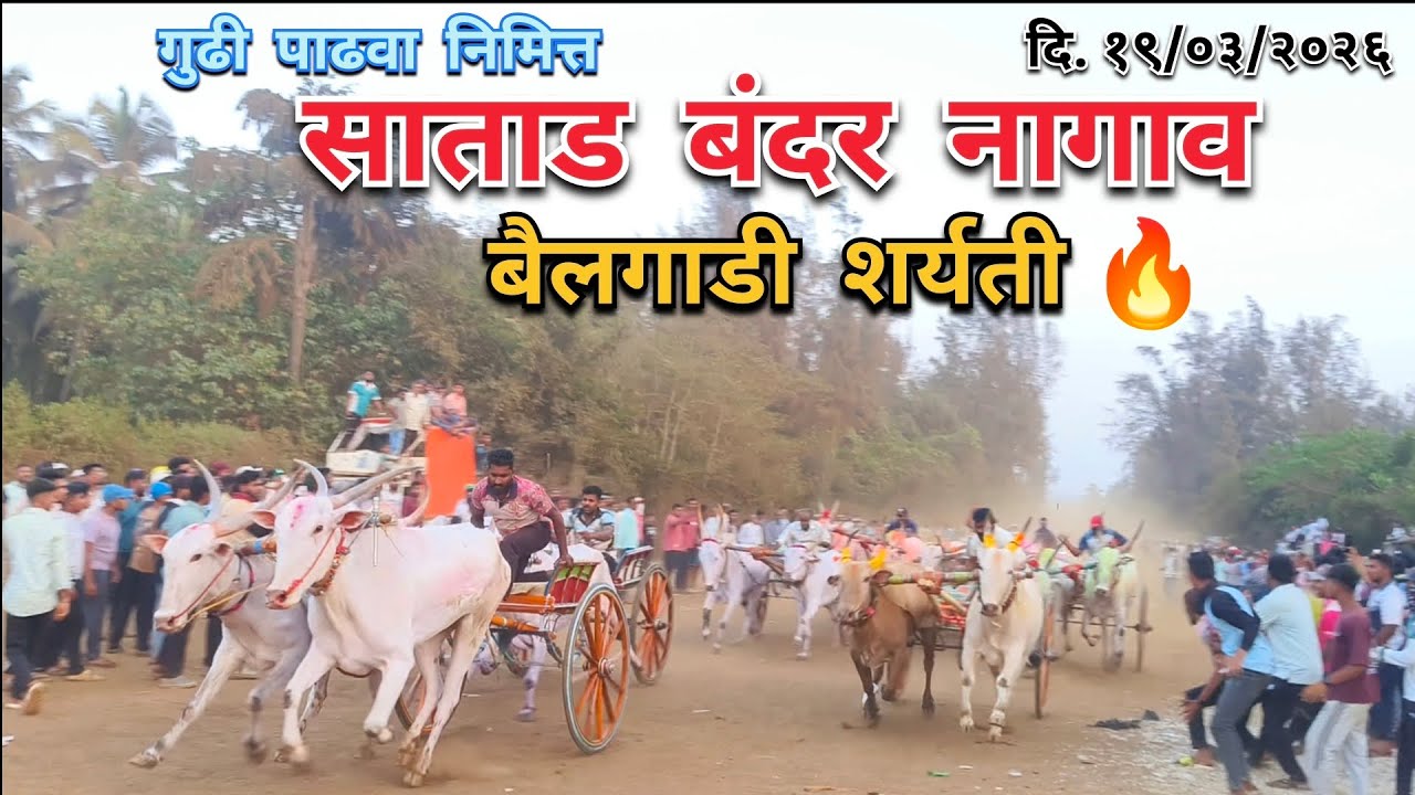 गुढीपाडवा निमित्त साताडबंदर नागाव बैलगाडी शर्यती🔥| दि.19/03/2026 | #bakasur #sonya5050 #बैलगाडा 
