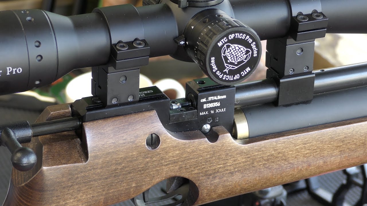 ОБЗОР: Пневматическая винтовка Air Arms S200 / CZ 200 — Белки на дистанции 50 ярдов