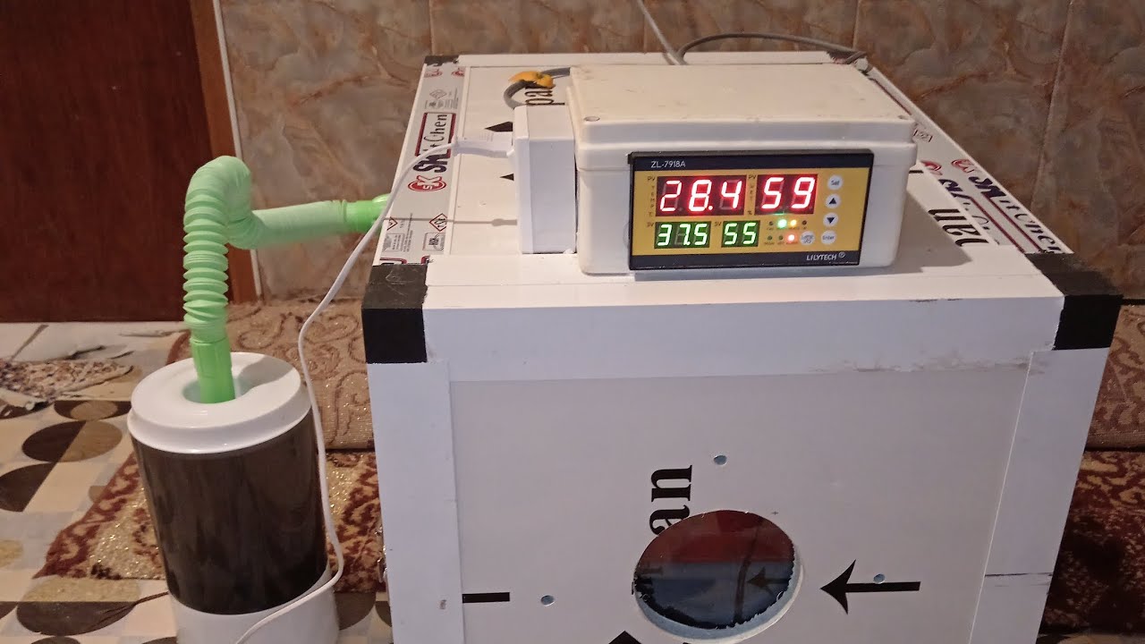 تم اعاده صيانة فقاسة ☺️ من نظام القرية الى نظام الجيموكا 60بيضه فول اوتماتيك التواصل على07714929663