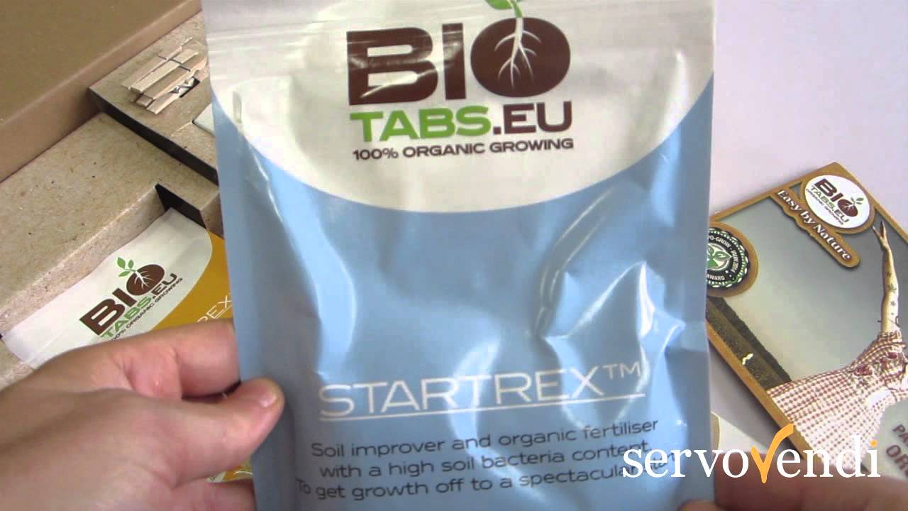 Kit Starter Box Additive