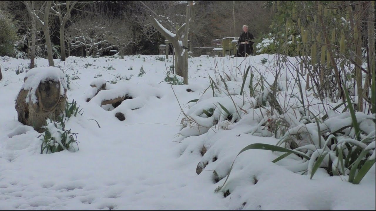 Morning Prayer – Tuesday, 9th February 2021