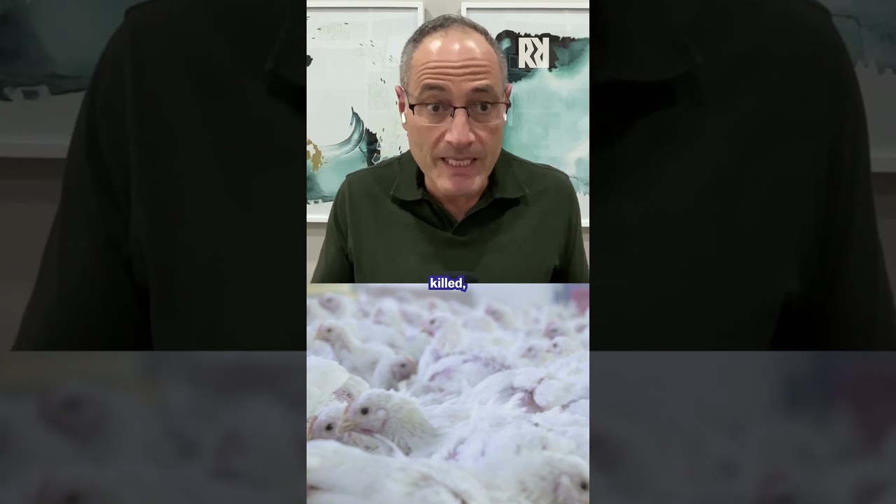 Why egg prices keep rising? (Vital Farms CEO Russell Diez-Canseco) | Rapid Response