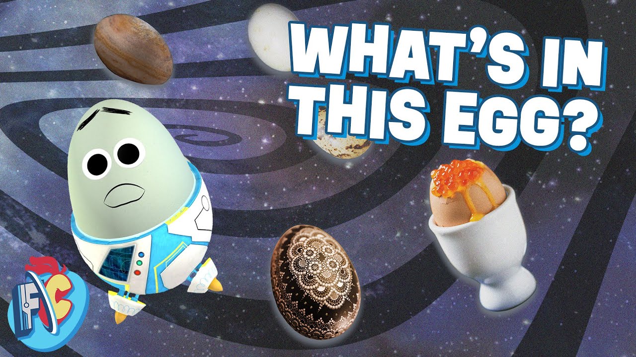 Nature Cartoons for Kids | What's in this Egg? | Future Chicken
