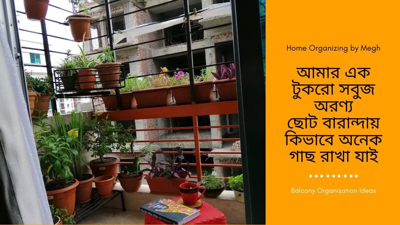 এক টুকরো সবুজ অরণ্য।ছোট বারান্দায় কিভাবে অনেক গাছ রাখা যাই।Balcony Organization Idea। Balcony Tour।